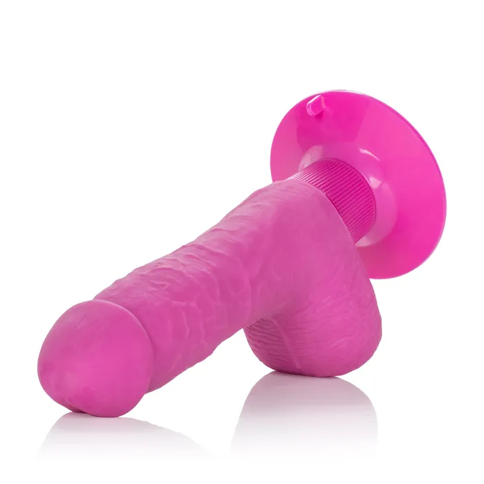 Shower Stud Ballsy Dong Pink CalExotics Dildos Shower Stud Ballsy Dong Pink CalExotics Dildos
